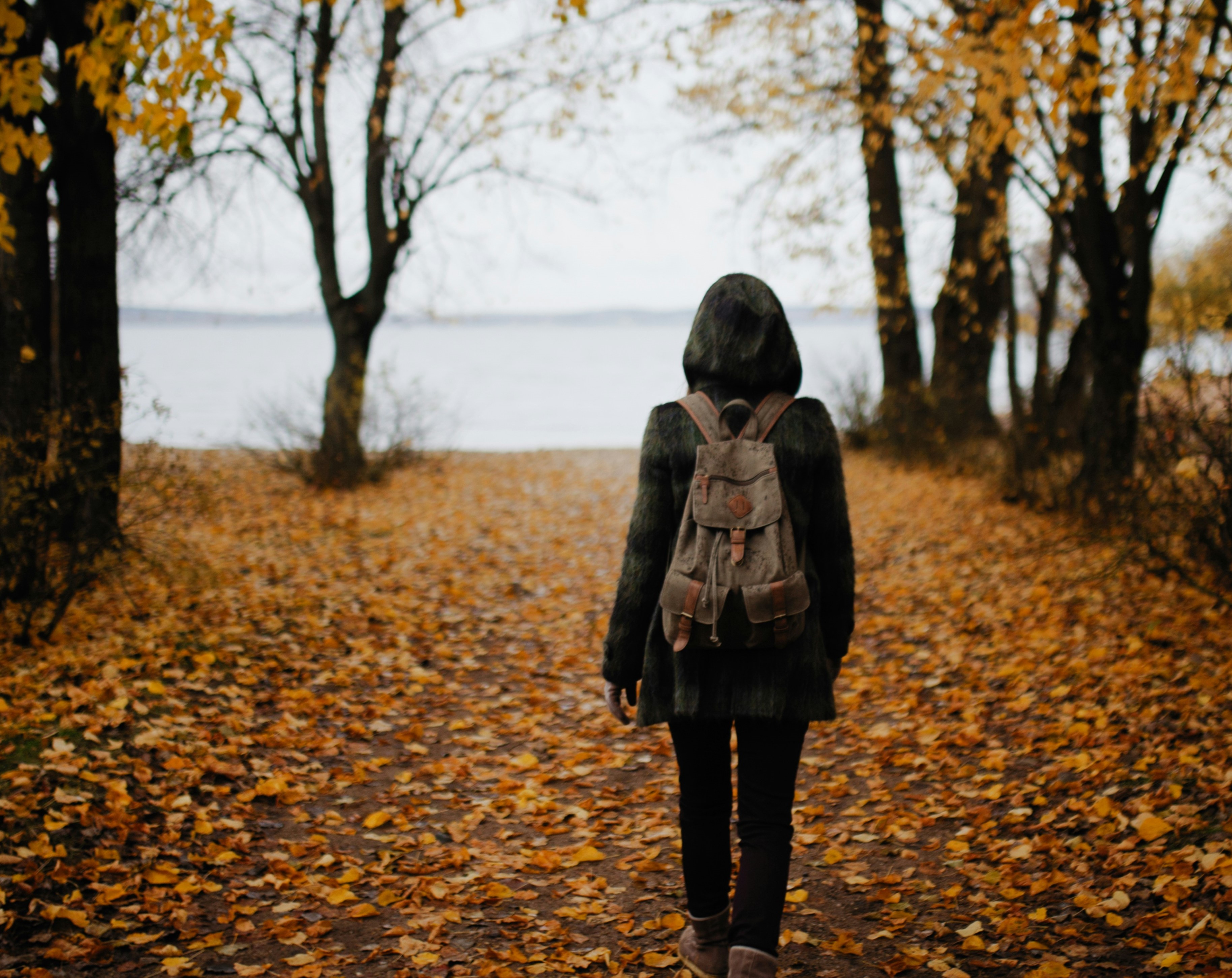 Photo of woman walking in the woods