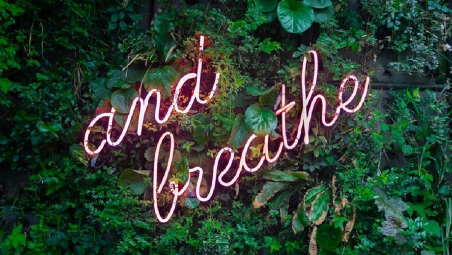 Neon sign saying 'and breathe' against a foliage background; photo credit Man van den Oetelaar on Unsplash