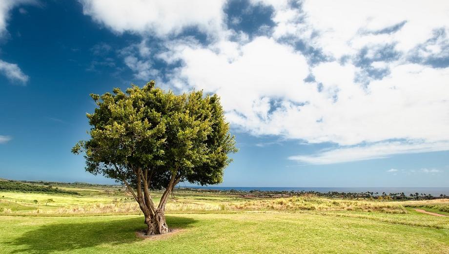 Landscape. Photo credit Jeff King on unsplash